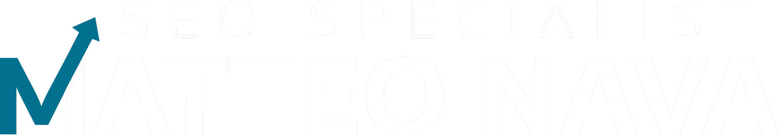 Logo Matteo Nava Seo Specialist bianco-azzurro