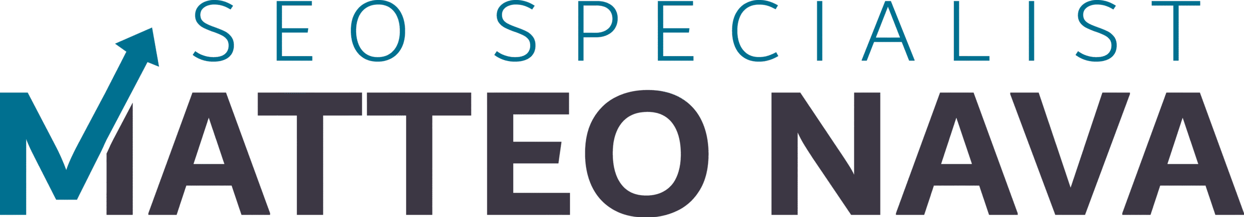 Logo Matteo Nava Seo Specialist